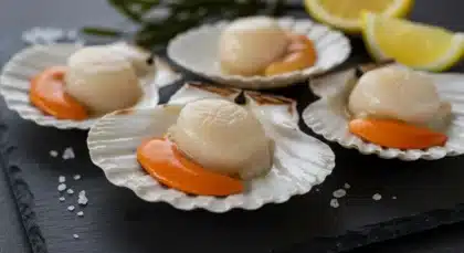 Coquilles Saint-Jacques fraîches présentées dans leur coquille avec corail orange, prêtes à être cuisinées.