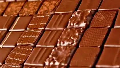 Tablettes de chocolat artisanales alignées, aux textures variées et brillantes, illustrant le savoir-faire d’un chocolatier français.