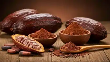 Fèves de cacao entières, cabosse ouverte et poudre de cacao cru présentées dans des bols en bois sur une table rustique.