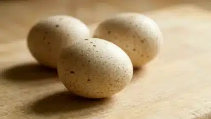 Trois œufs de dinde tachetés en gros plan, posés sur une planche en bois claire, éclairés par une lumière naturelle douce.
