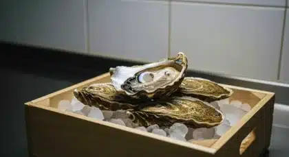 Huîtres fraîches dans leur coquille posées sur de la glace dans une boîte en bois, illustrant une méthode de conservation au froid.