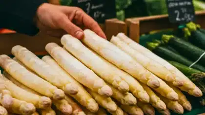 Main choisissant des asperges blanches fraîches et droites sur un étal de marché
