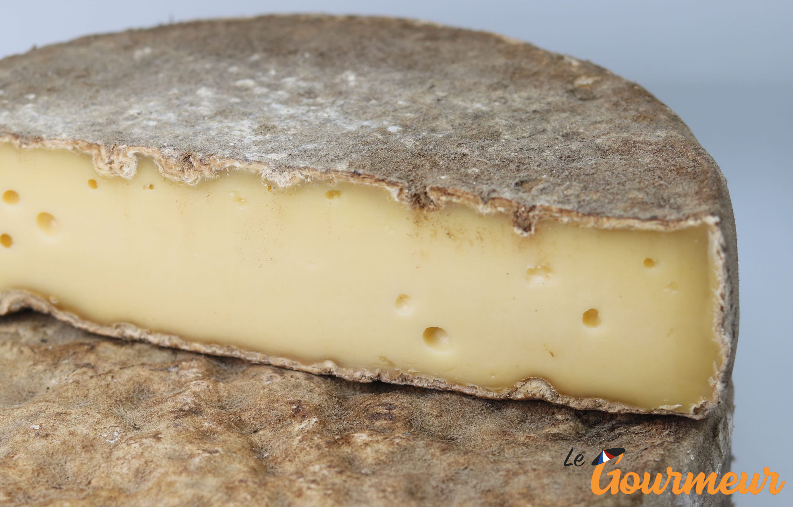Tome des Bauges Fermière AOP fromage
