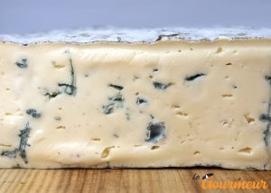 bleu de Bonneval-sur-Arc fromage