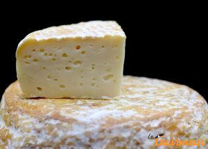 le chevrolait fromage de chèvre de bretagne