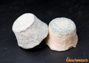 mâconnais AOP fromage de bourgogne ou bouton de culotte