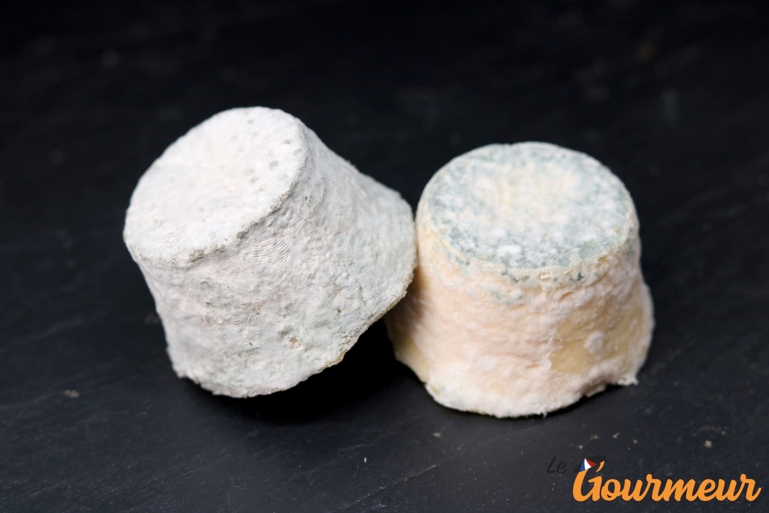 mâconnais AOP fromage de bourgogne ou bouton de culotte