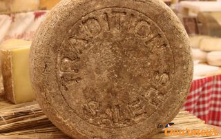 salers tradition fromage AOP d'auvergne