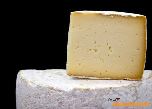 tomme du limousin fromage du plateau des 1000 vaches