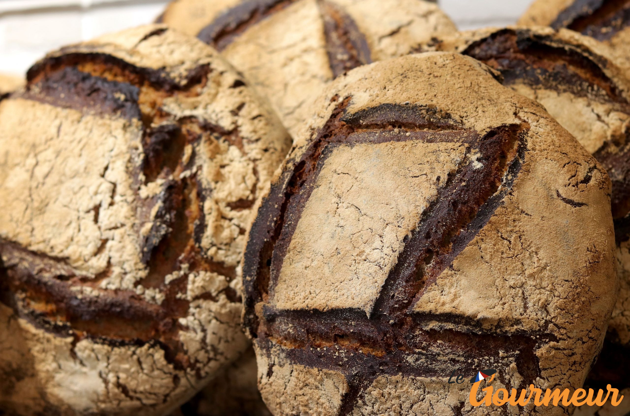 tourte au seigle d'auvergne