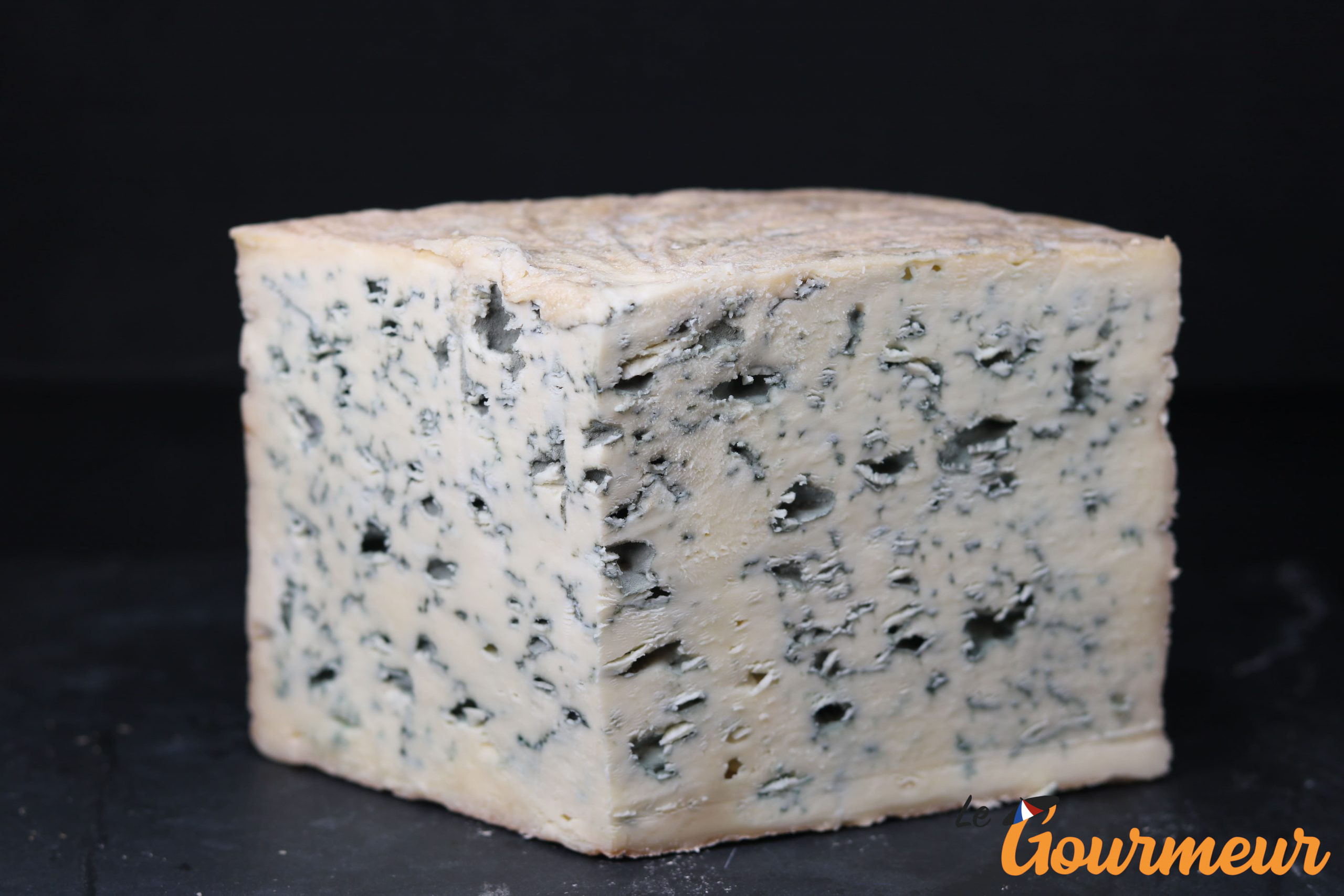 bleu d'Auvergne AOP fromage
