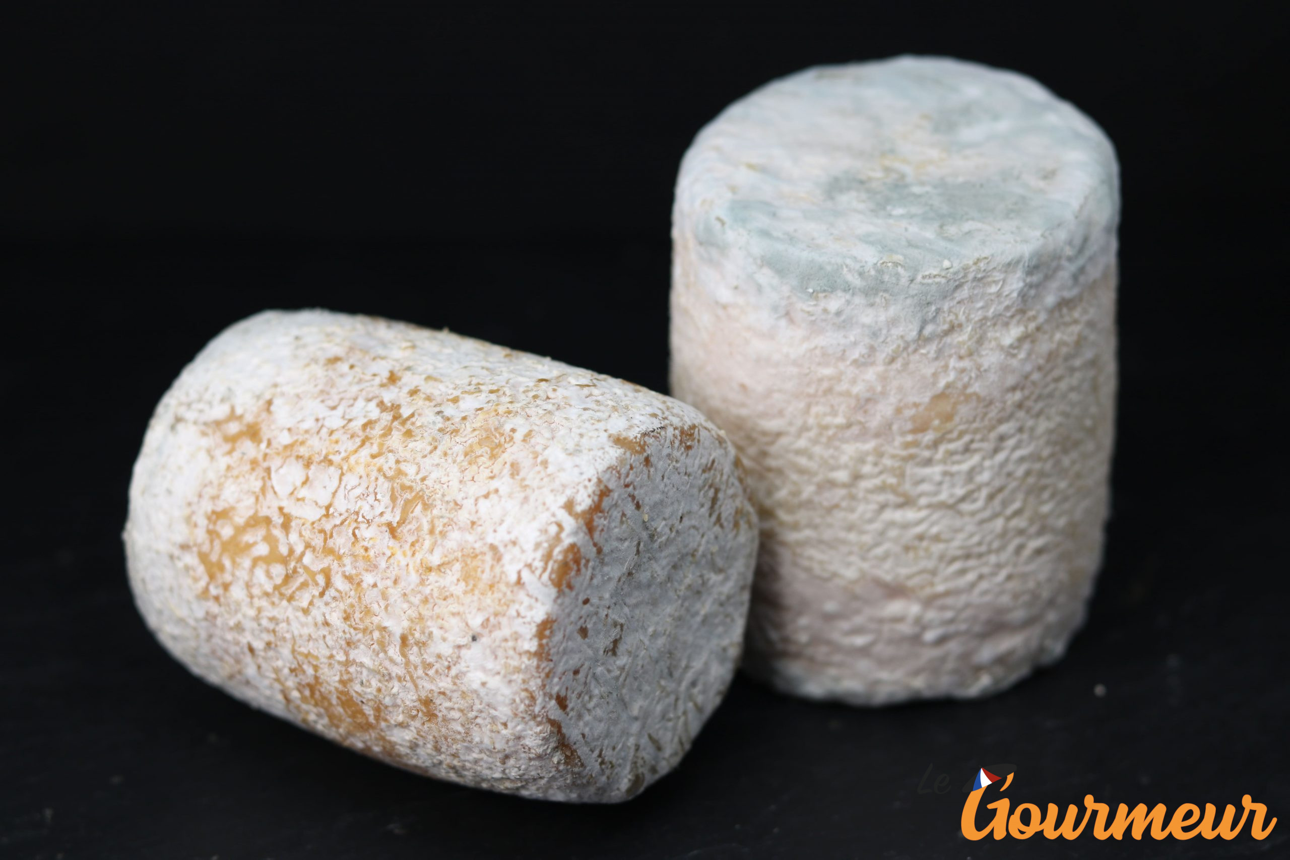 charolais AOP fromage de bourogne