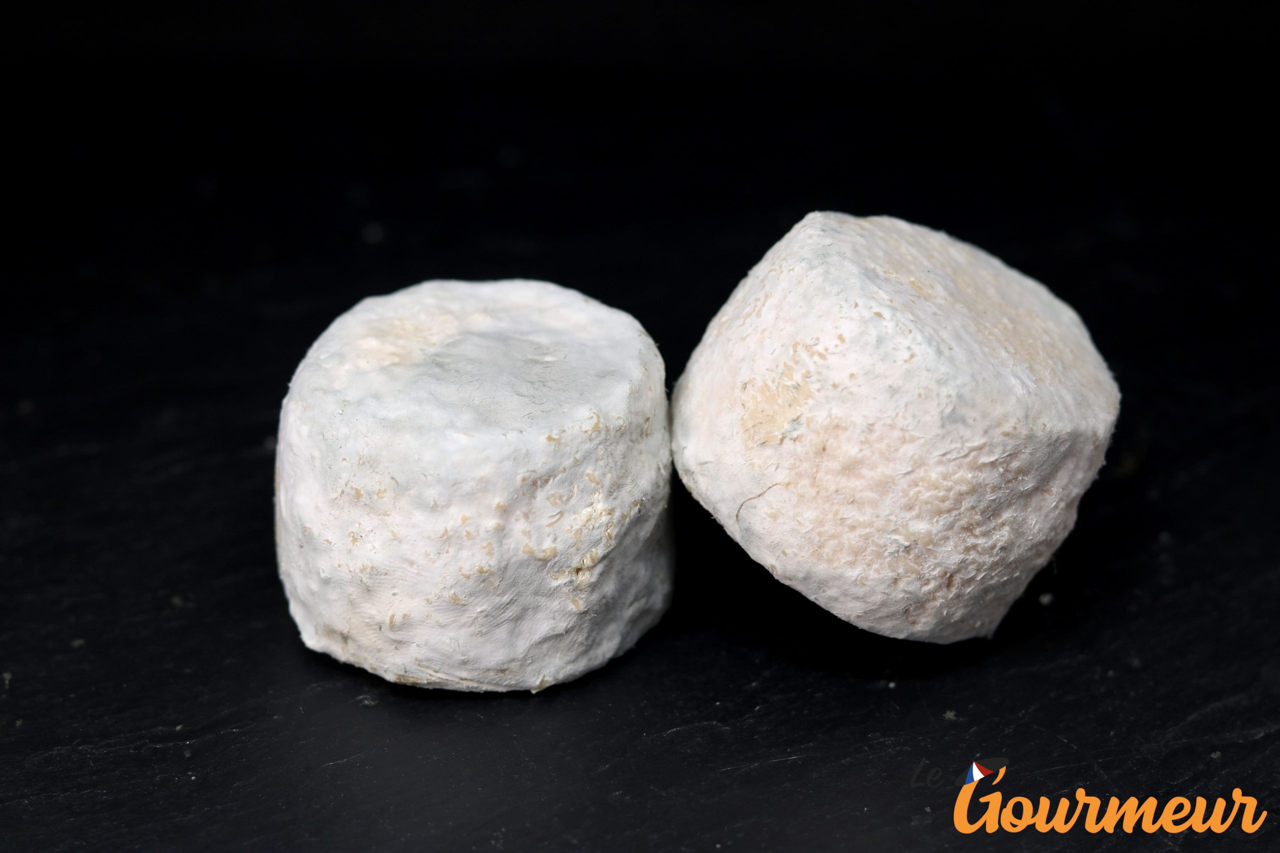 crottin de chavignol AOP fromage du berry et de bourgogne