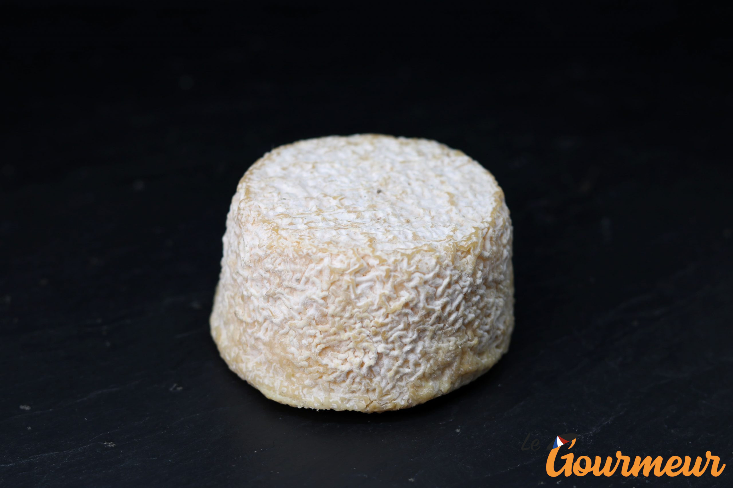 crottin du morvan fromage de bourgogne