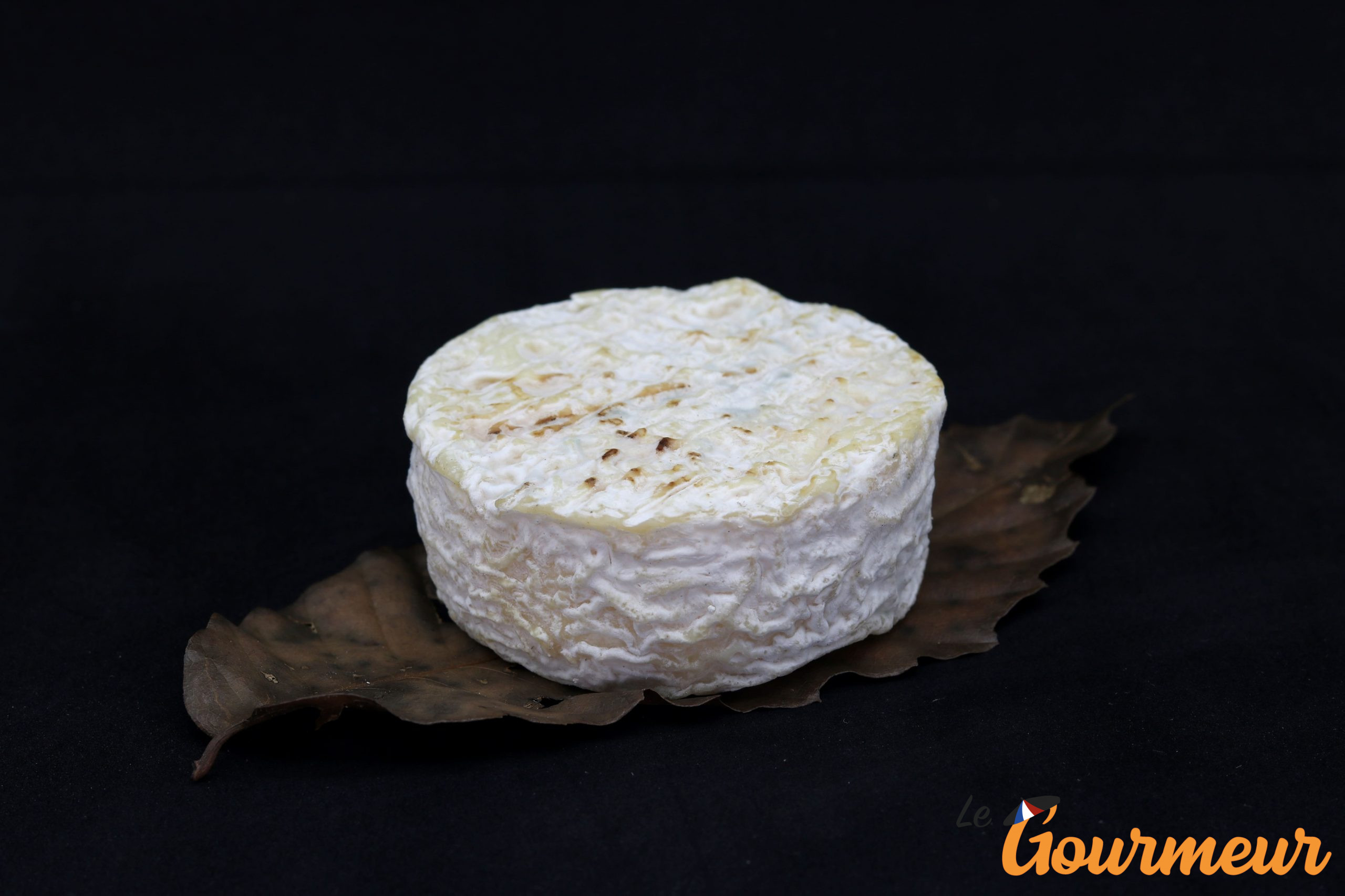 fleur de Camargue fromage