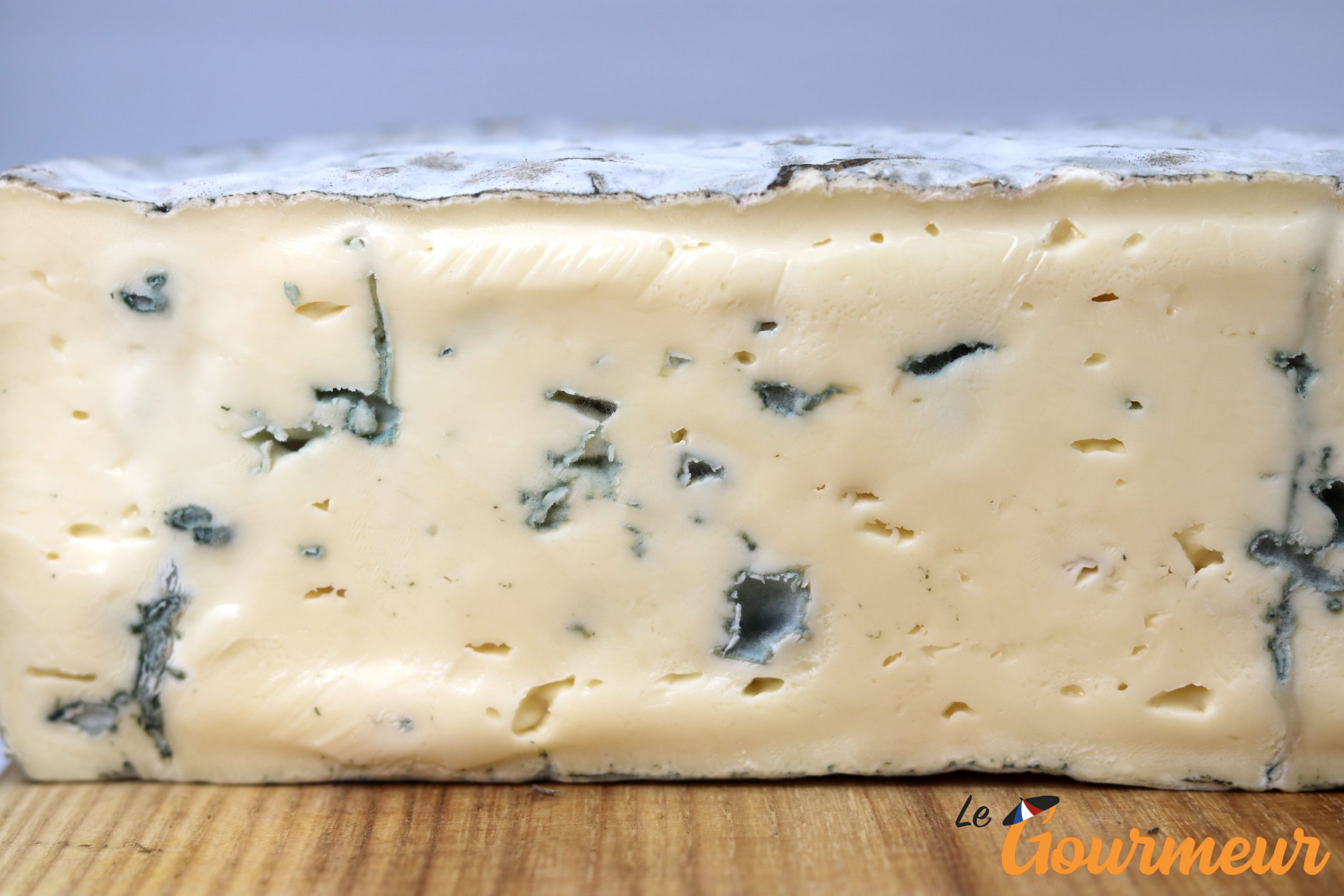 bleu de Bonneval-sur-Arc fromage