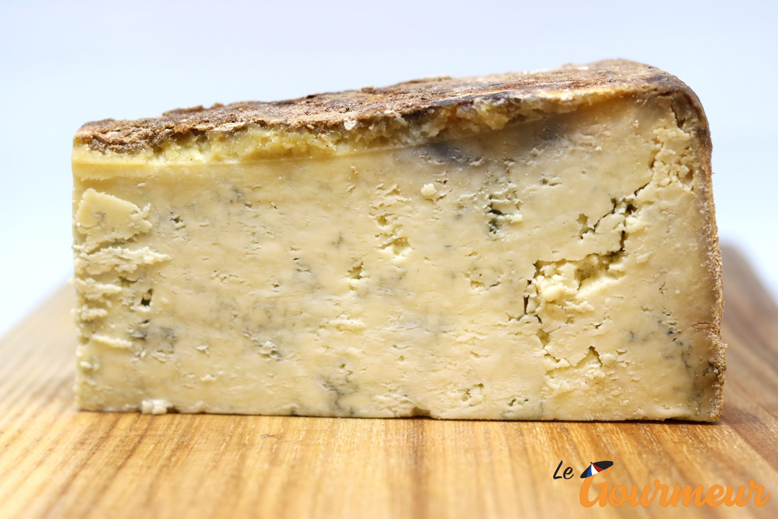 bleu de Termignon fromage