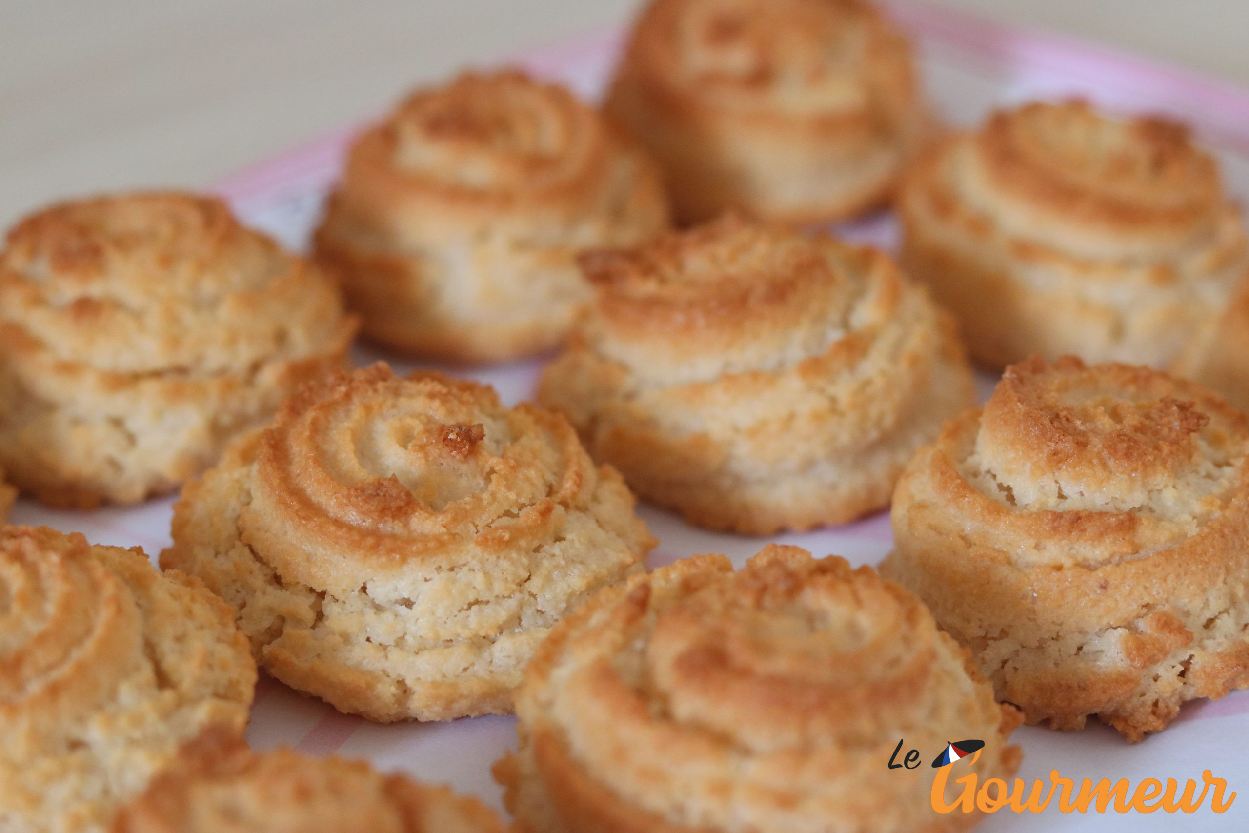 macaron de montmorillon biscuit du poitou