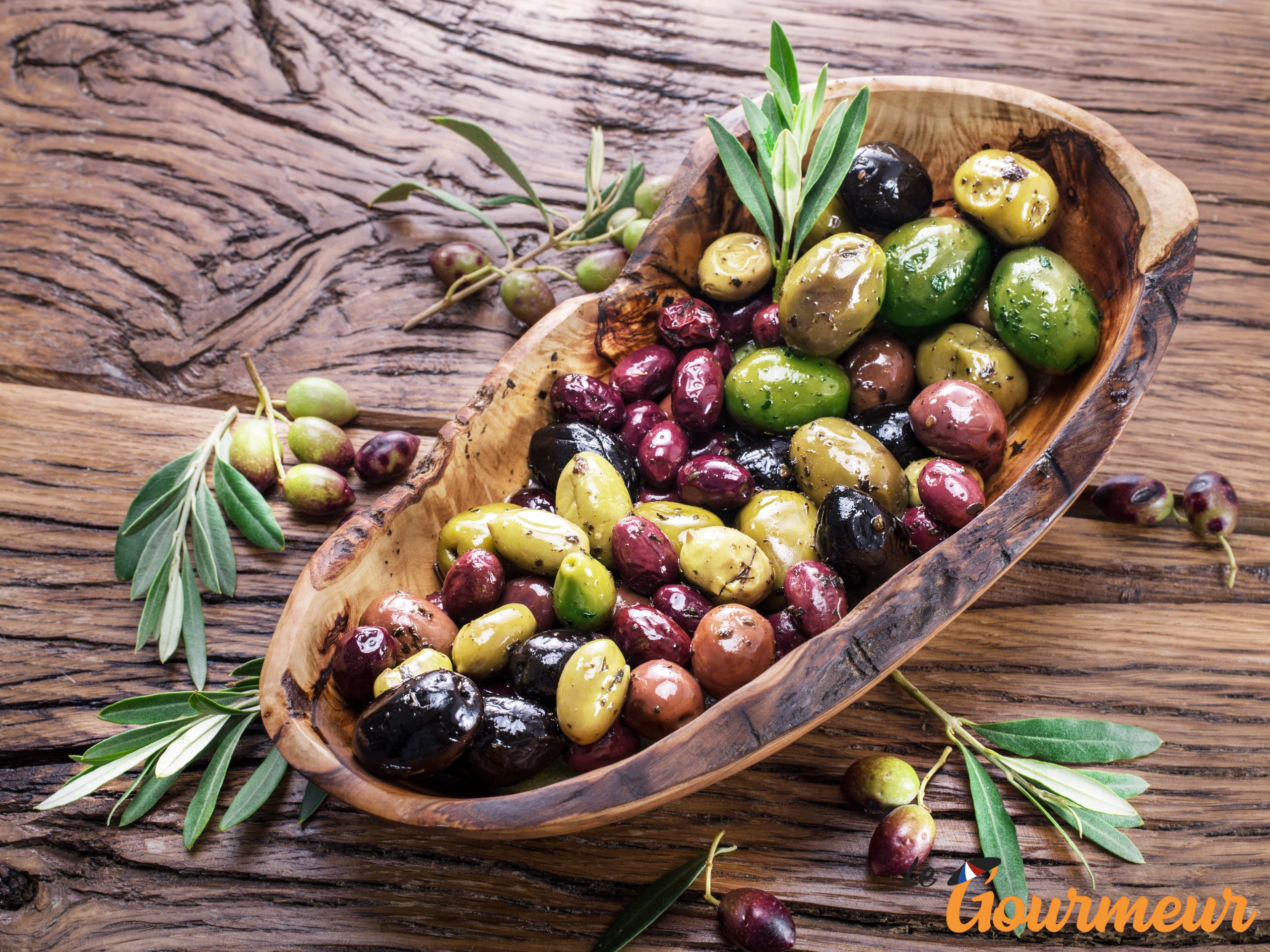 Olives de table en Languedoc-Roussillon et ses AOP occitanie