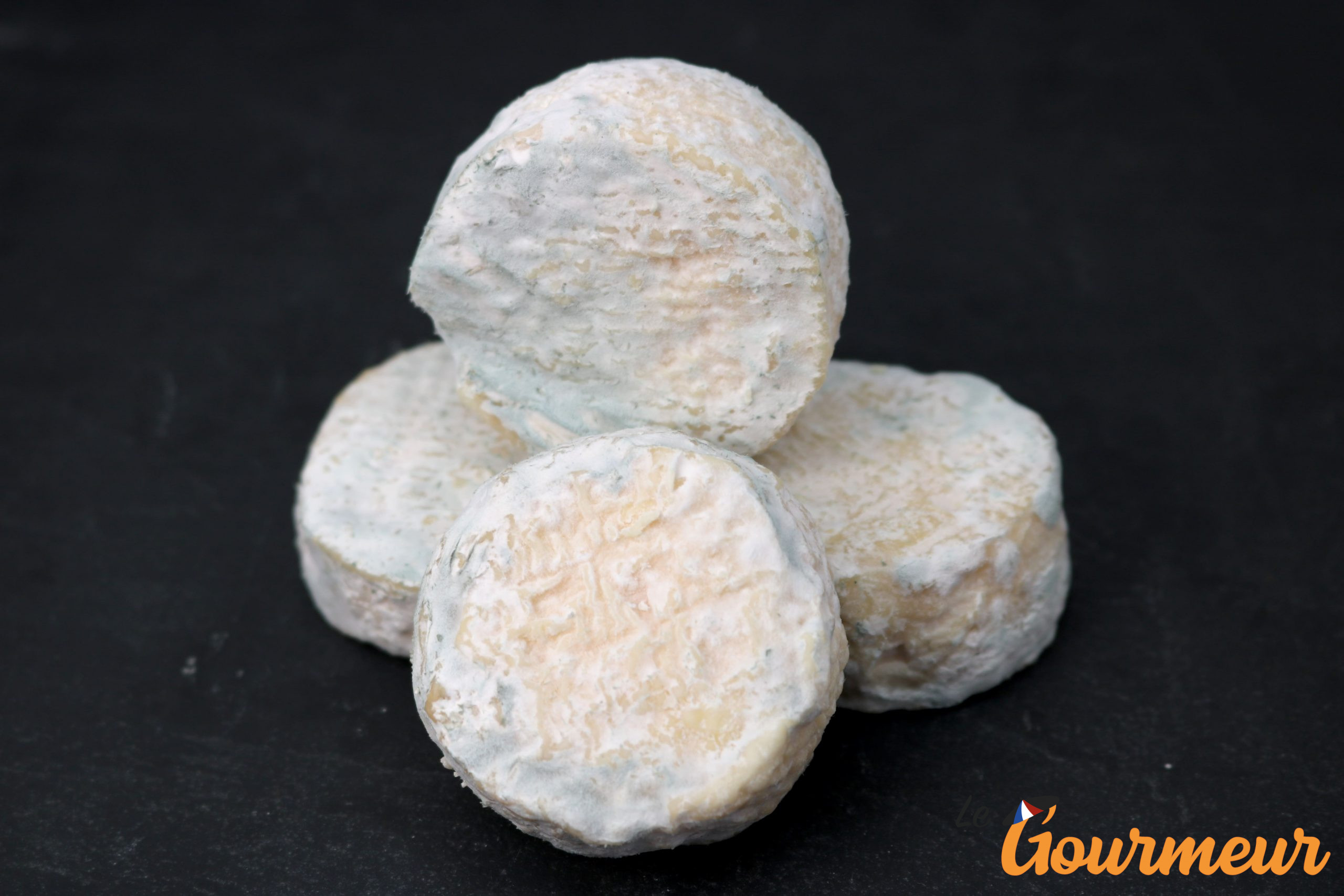rigotte de condrieu fromage de Rhône Alpes