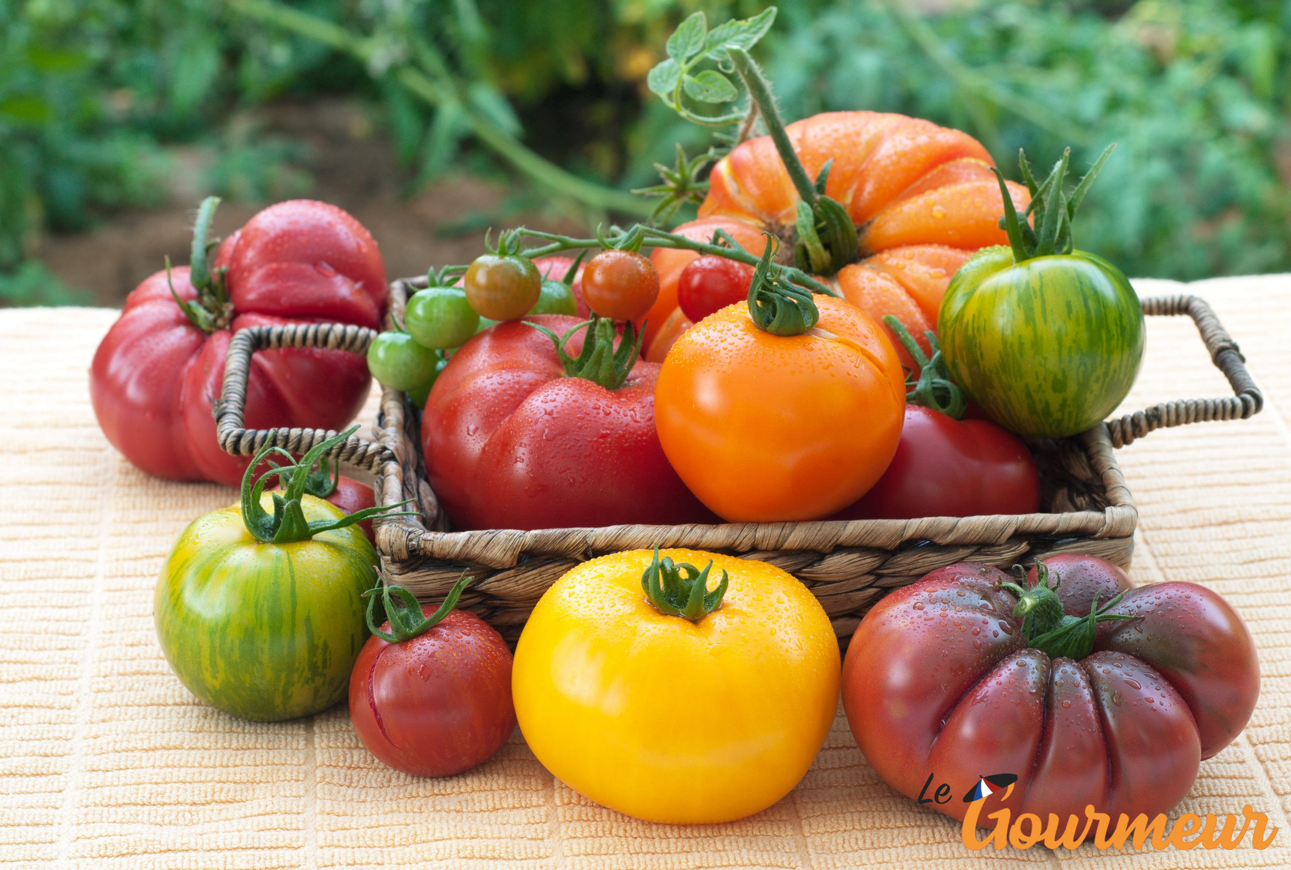 tomates anciennes de Provence