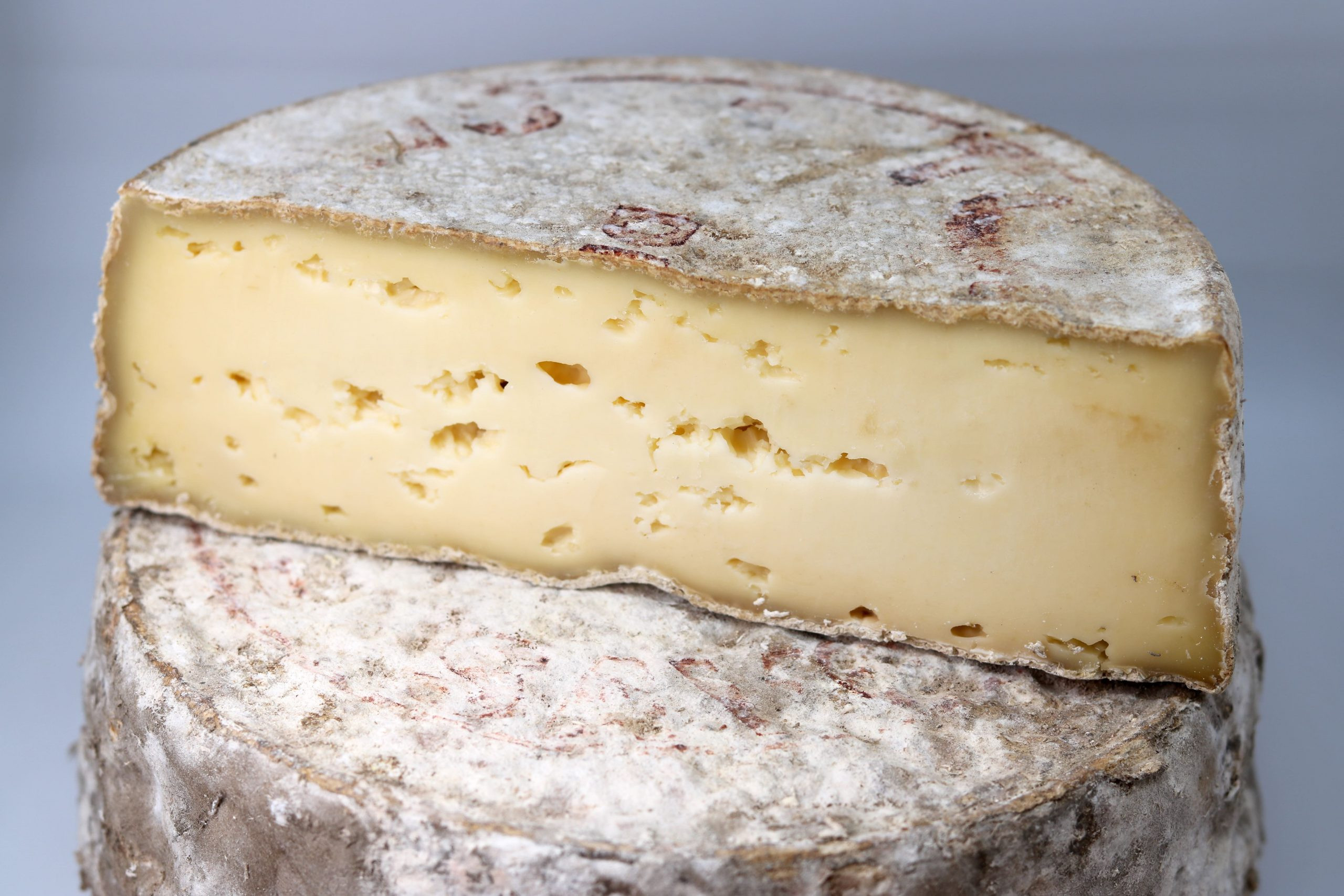 tomme de savoie IGP fromage