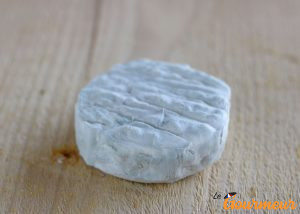 Picodon Chatelan fromage AOP de la drôme