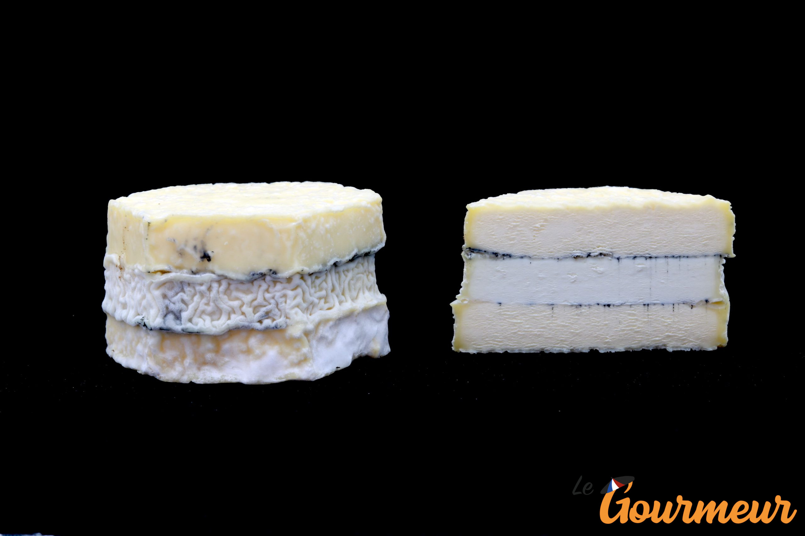 Fromages de chèvre de la région de Camargue