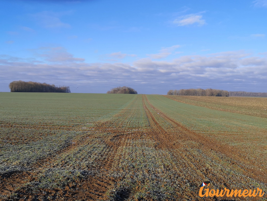 Paysage champs Seine et Marne Balade gourmande Seine et Marne