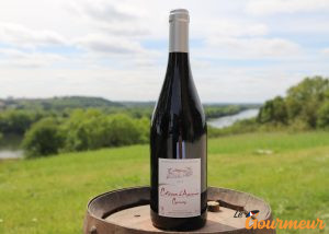 Coteaux d'Ancenis vin AOP