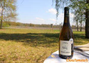 vins Touraine Amboise AOP + vigne