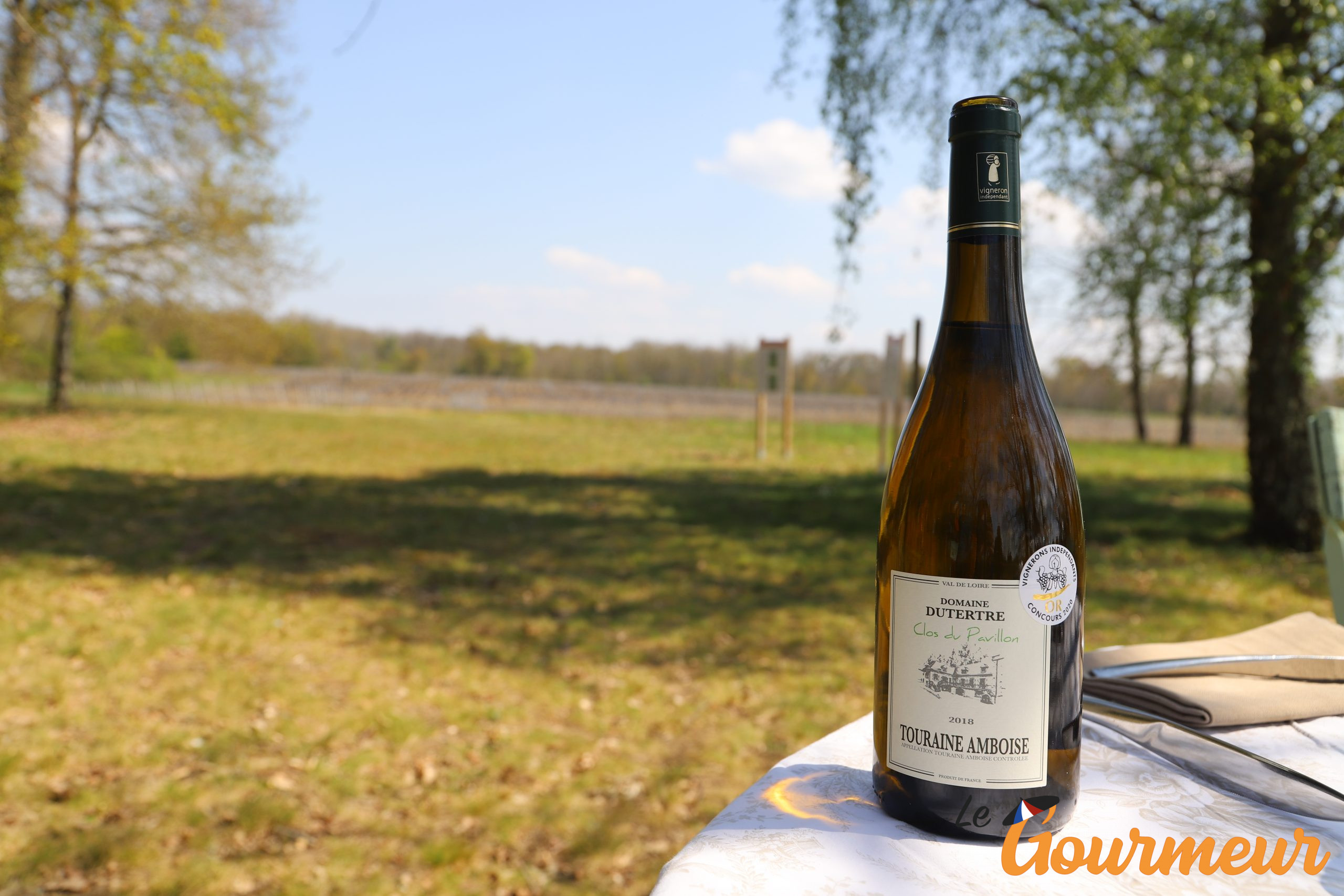 vins Touraine Amboise AOP + vigne