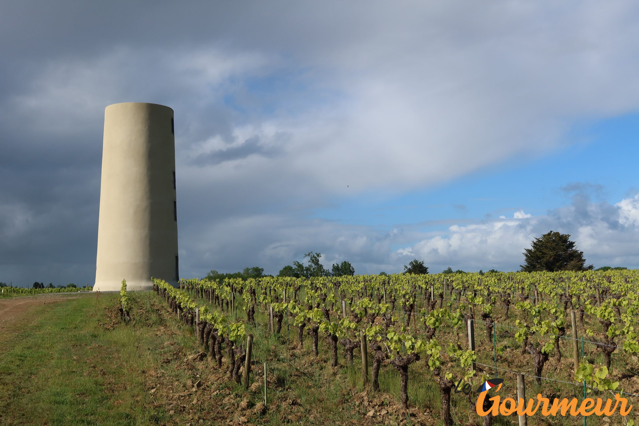 Paysage Vignobles Loire Atlantique