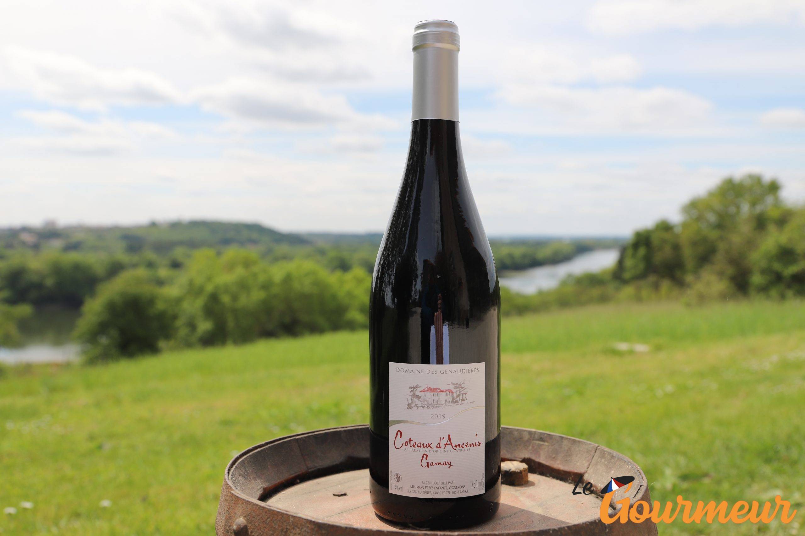 Coteaux d'Ancenis vin AOP