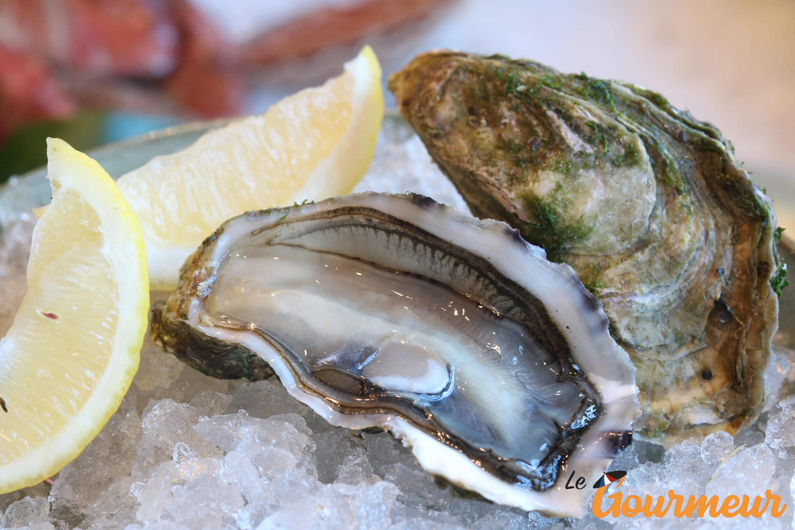 Fruits de mer et huîtres de Charente Maritime