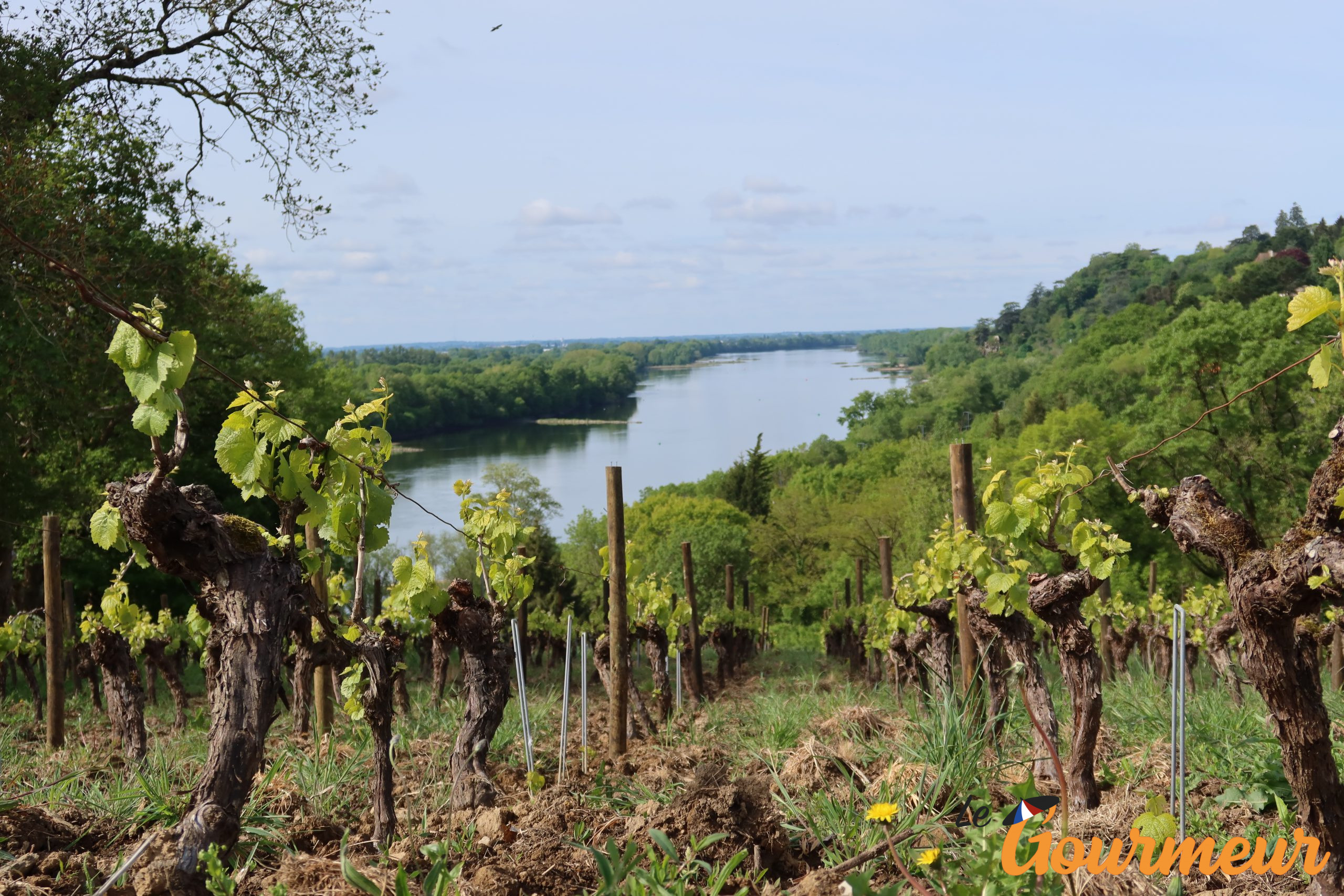 Domaine Génaud vins AOP