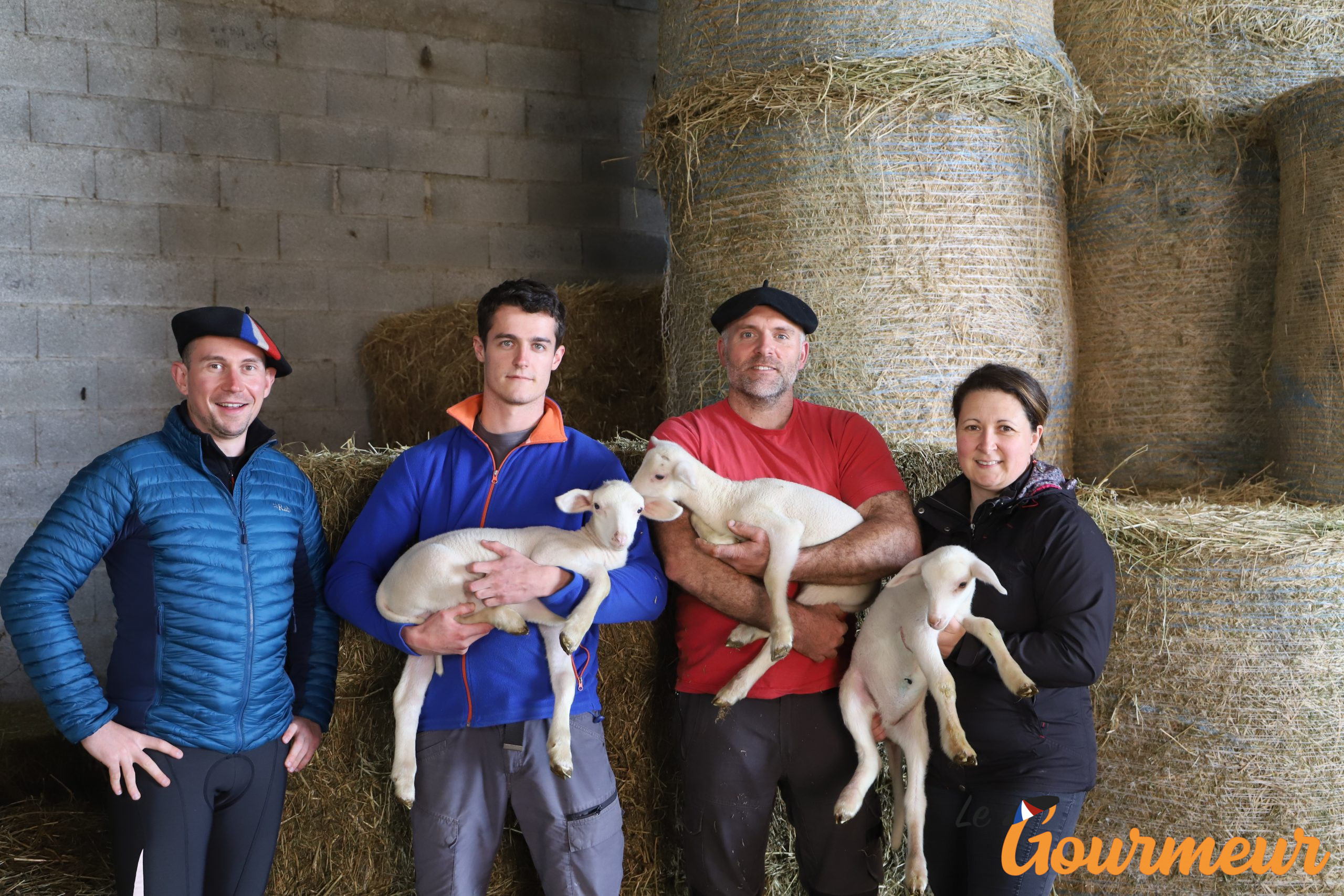 Producteurs de fromage de brebis Lacaune