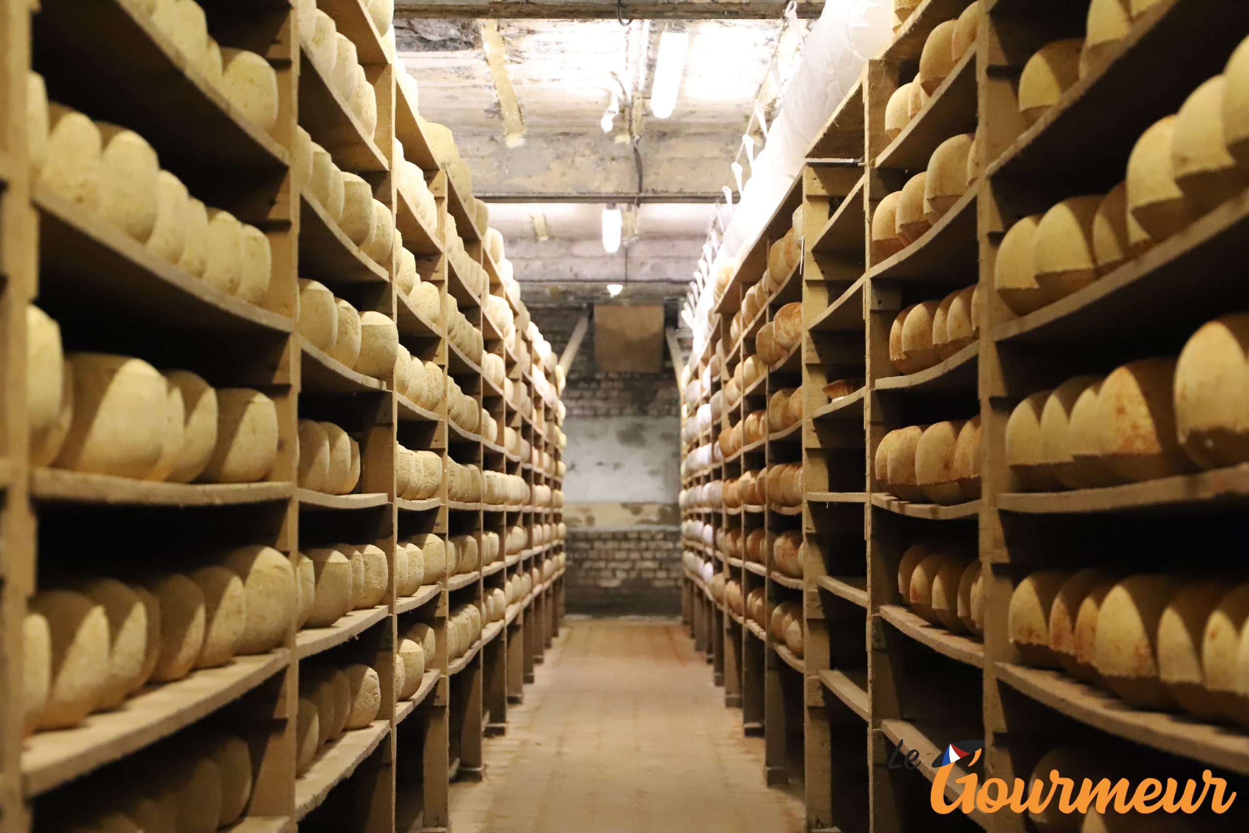 cave affinage mimolette losfled Affinage mimolette