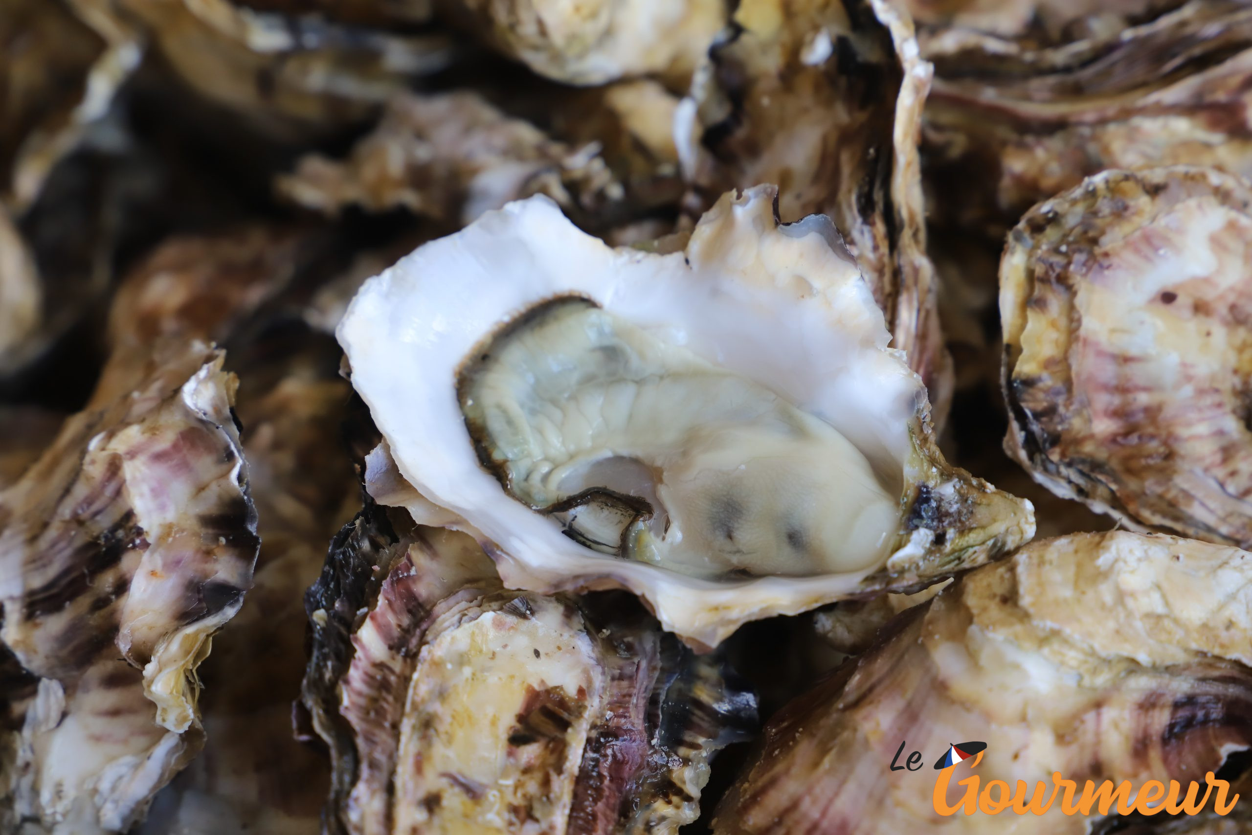 Huître de Thau ou huitre de bouzigues en languedoc rousillon