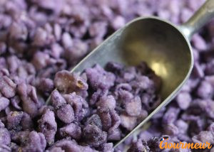 pétale de violette cristalisée arrière pays niçois