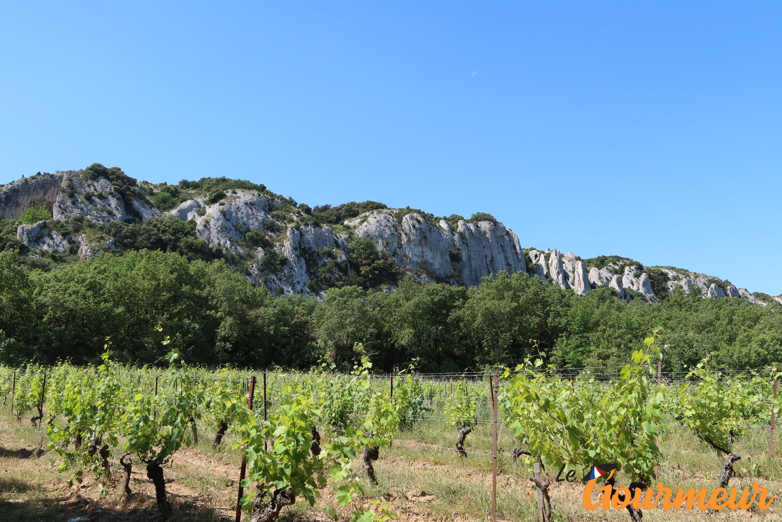 Les vignes du Gard Paysage du Gard