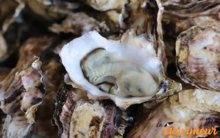Huître de Thau ou huitre de bouzigues en languedoc rousillon