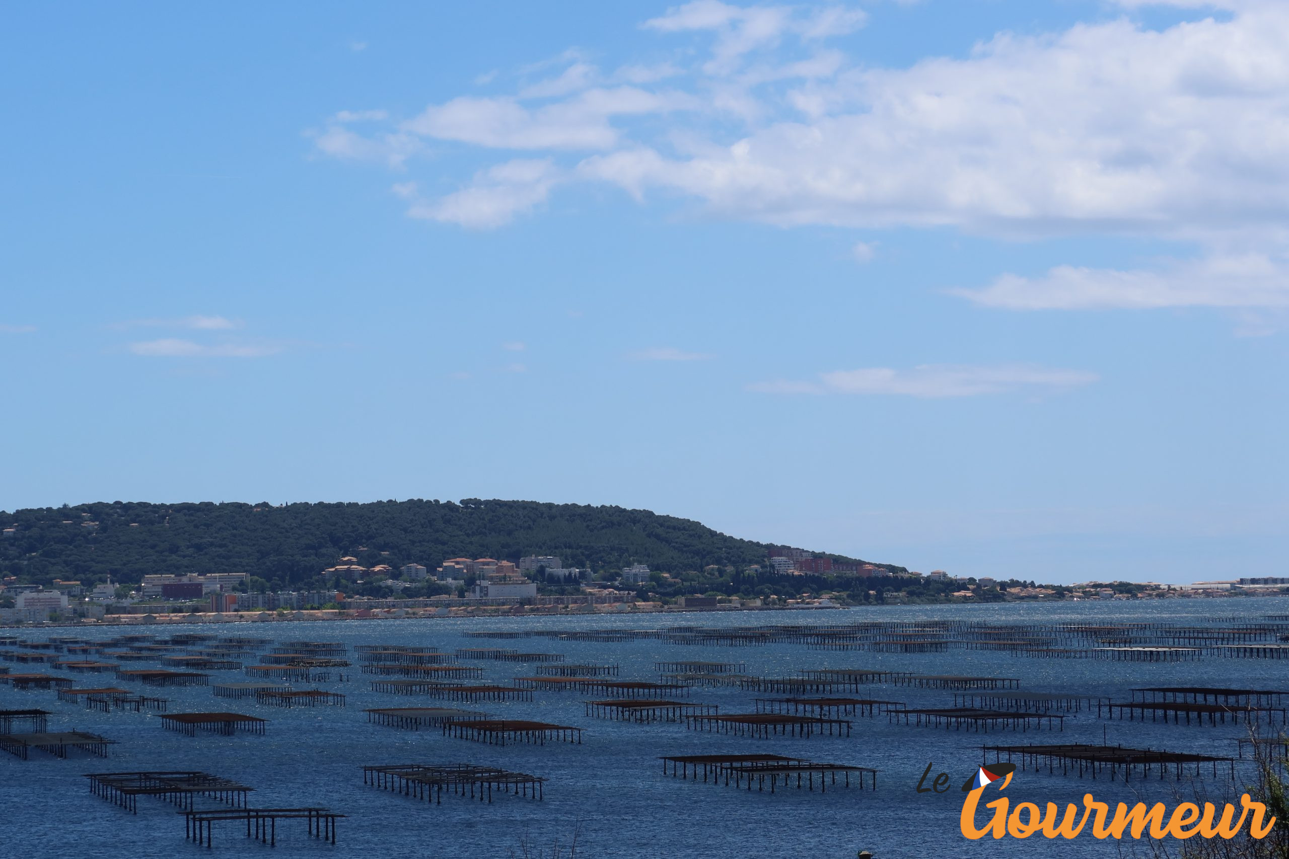 vue sur les tables à huitres Balade gourmande Hérault