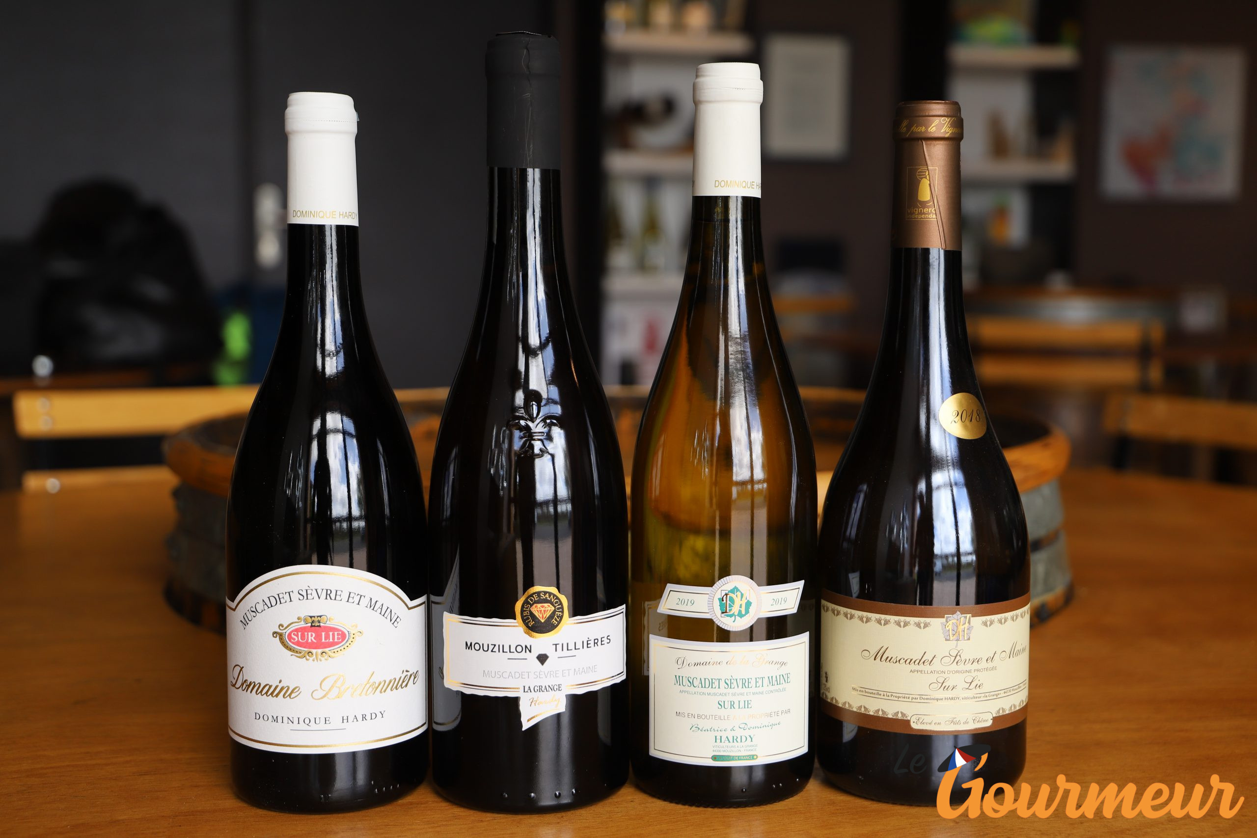 Vins Muscadet sevre et maine