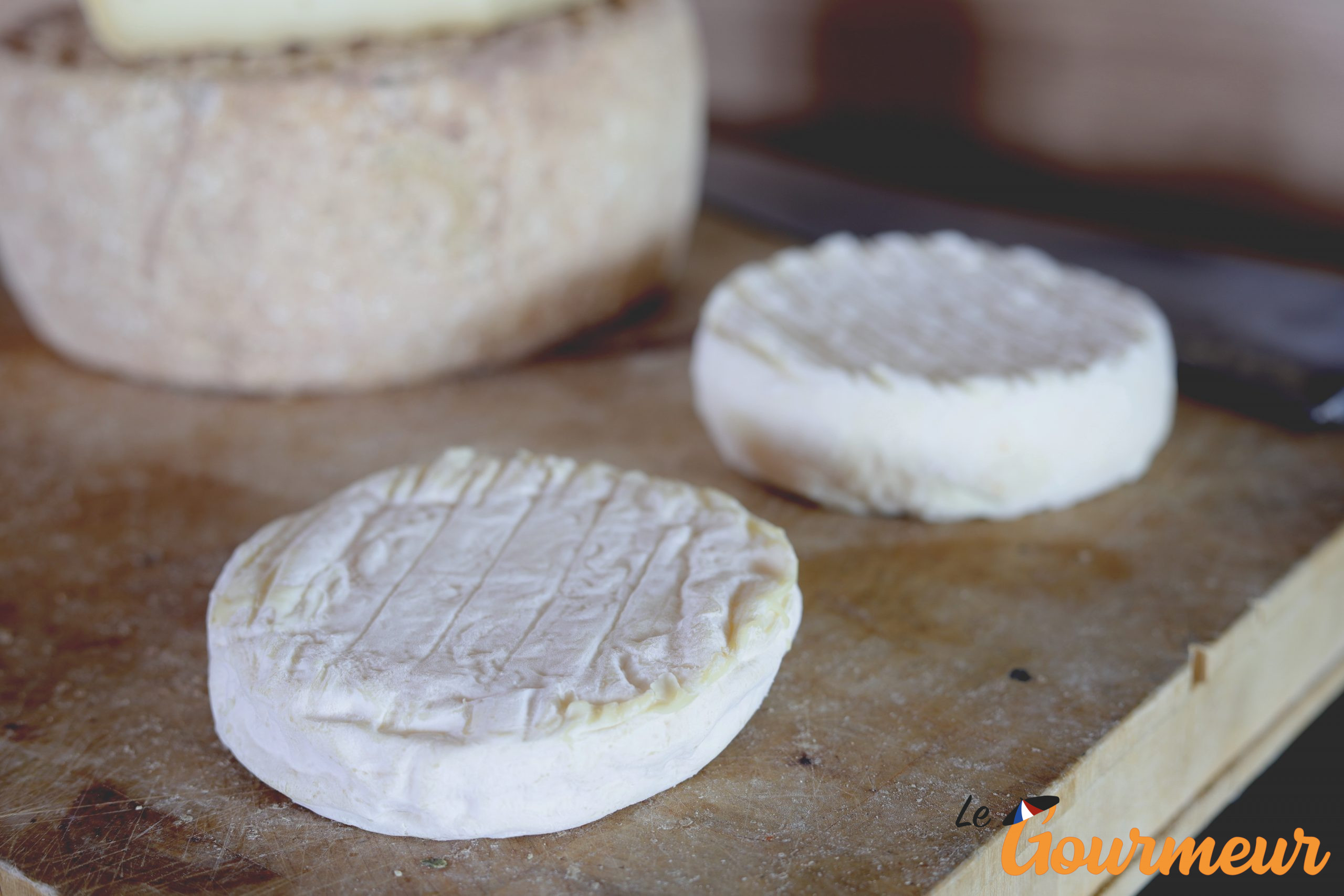 fromages de brebis du tarn